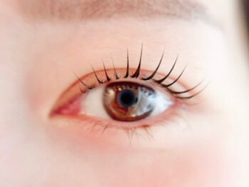 ロッティ アイラッシュ(lotti eyelash)