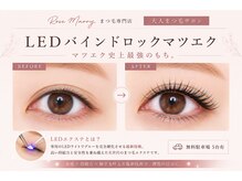 ローズマリー 淵野辺店(RoseMarry)の雰囲気（ledバインドロックもち良い　低刺激　オイルに強い　人気です♪）
