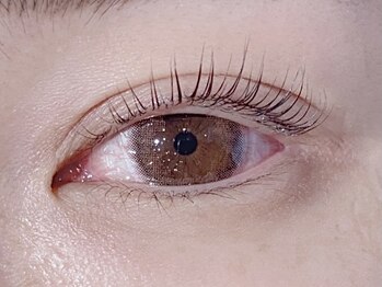 ローラント(LAURENT)/パリジェンヌラッシュリフト