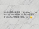 ご案内