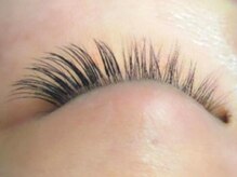 ジズ(zizz)/目尻ポイント (60本)