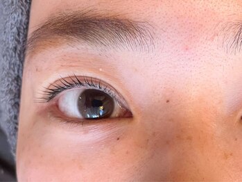 トムオウル(TOMOWL)/ラッシュリフト(上)