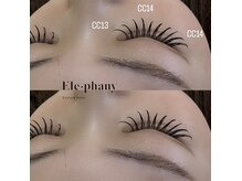 エレファニー(Ele phany)/バインドロック100束