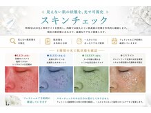 エステサロン アン クレアの雰囲気（見えない肌状態を可視化し今の肌状態を知ることから）