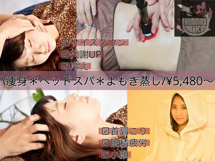 ハミングバードの写真