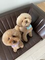 ネイルサロン フィフスアベニュー(Fifth Avenue) 我が家の愛犬です。