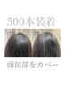 【ヘア】増毛エクステ☆エアエク 500本 ￥21000