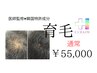 【男女OK！】韓国育毛促進 1回