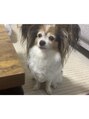 マキア 新札幌店(MAQUIA) 愛犬(*^^*)