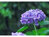 梅雨限定♪クヨクヨ考えがちな思考・気分をリセットする70分12000⇒9700円
