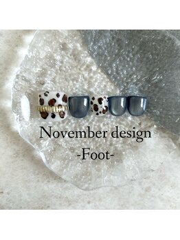 25年11月フット定額