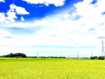 関谷カイロプラクティック整体院/郷里の風景3