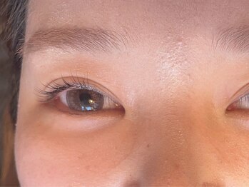 トムオウル(TOMOWL)/ラッシュリフト(上)