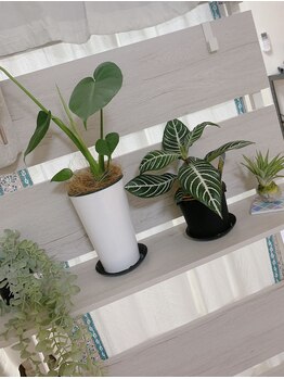 レア(le'a)/癒しのアイテム