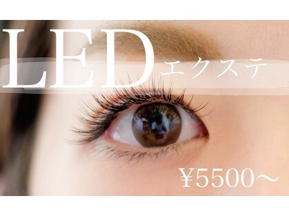 ガーランド ルピナス(garland lupinus)の写真