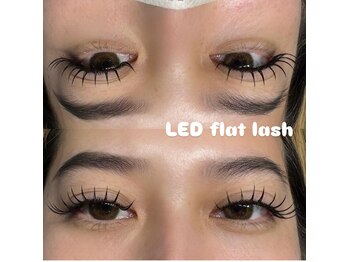 オルミィ(ormie)/LEDフラットラッシュ♪140本