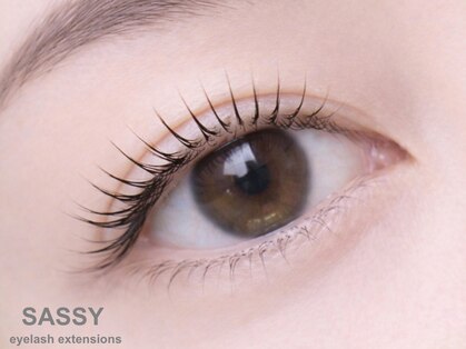 サッシー(SASSY)の写真