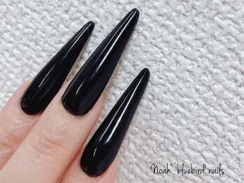 ノアブルーバードネイルズ(Noah' bluebird .nails)/ワンカラー　アクリルスカルプ