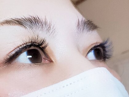 シェリー(CHERIE)の写真