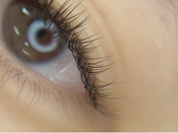 シャルエ アイサロン(Charer)/フラットラッシュ ブラウン