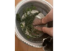 こりとりらくや