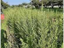 ノフ 平針店(nof)/