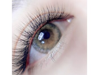 ブルーム(Bloom)/LEDボリュームラッシュ