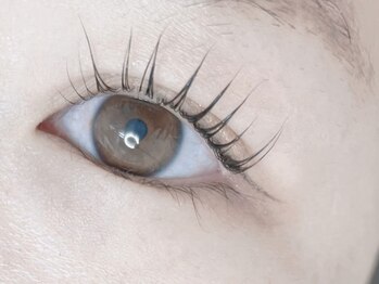 comoda eye 神戸三宮 マツエク / まつげパーマ / LED / パリジェンヌ【3/1OPEN予定】/長さ強調◎【パリジェンヌ】