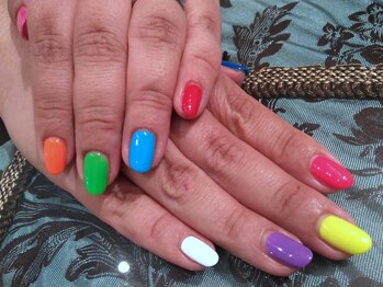 オーロラ(AurorA)/ワンカラー～５カラー