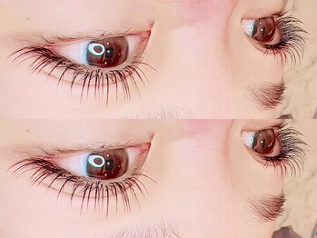 マロウ(mallow)/フラットラッシュ140本