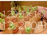 【吸玉/カッピング】痩せボディへ!凸凹贅肉&頑固な凝りに!1回120分13200円