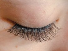 ラッシュ(LASH)/3D/4D/ボリュームラッシュ/600本