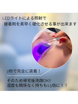 ゾウゾウ(Zow Zow)/