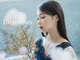 ラシェス(luscious)の写真