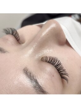 ファルコ(Falco)/バインドロック１００束