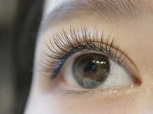 ラッシュアンドワックス ブレイブニューヨーク(Lash&Wax Brave nyc.)/フラット100本+アップワード