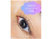 ラッシュラッシュ 桜井店(Lash Rush)