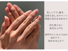 ビビィ(vivie)