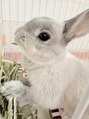 リラ ねこのシッポ&nbsp;とてもわがままなうーちゃんです！