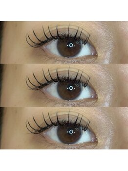 ロゼ ヴィレッタ/フラットラッシュ