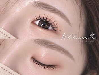 ホワイトカメリア 上本町店(White Camellia)の写真/【駅近/上本町3分】スピード施術×キープ力が自慢★2・3回目以降もリーズナブルな価格でマツエクをご堪能！