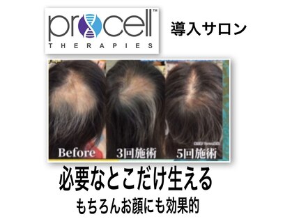 ママナ(mamana)の写真