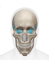 整体院 チーム蒼/ドライヘッドスパは蝶形骨も調整