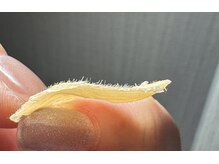 ホルバール 佐賀店(Hallbar)/フェイスワックス