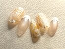 【貝殻ネイル】