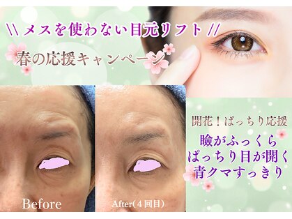 ケイ プレジールの写真