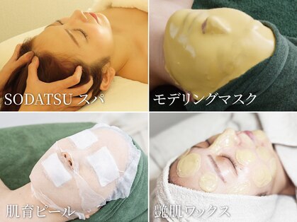 ソダツ(SODATSU)の写真