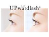 ☆UPwardlash☆　3D・480本（120束～　or　シングルMIX）☆