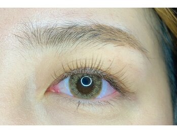 エーレ(ehre)/ブラウンフラットラッシュ