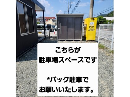 シャイニー(Shiny)の写真